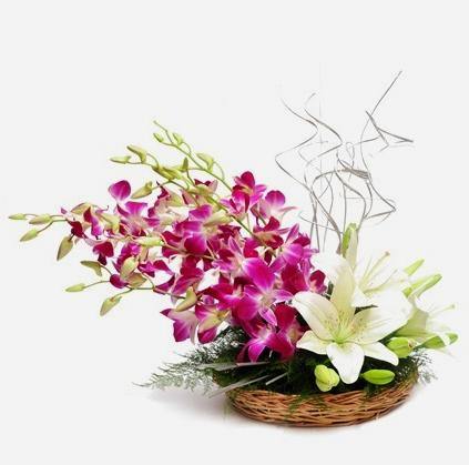 Orchid Lover - Fruit n Floral