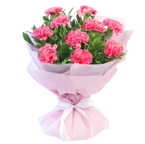 10 Pink Carnations Bouquet - Fruit n Floral