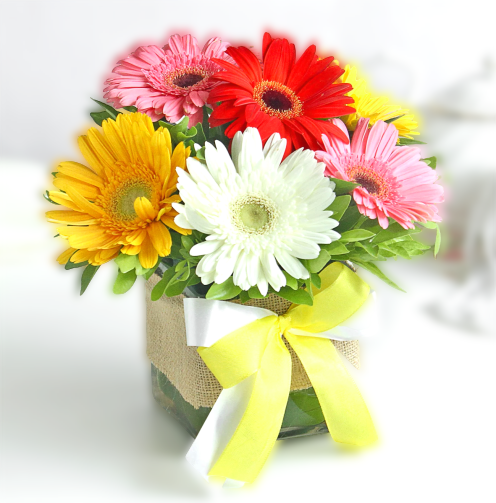 Colorful Gerberas in Vase - Fruit n Floral