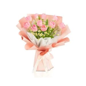 Blush Pink Tulip Dream