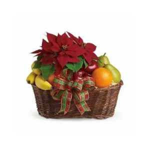 Harvest Joy Fruit Basket