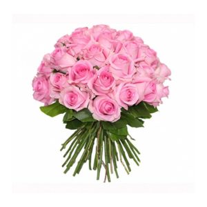 Sweet Pink Velvet Roses