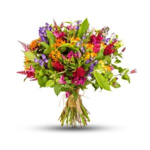 Wildflower Meadow Fusion