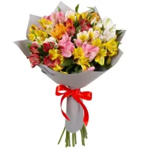 Rainbow Alstroemeria Bouquet