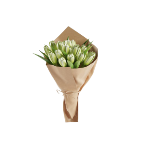 Best Tulips Bouquet
